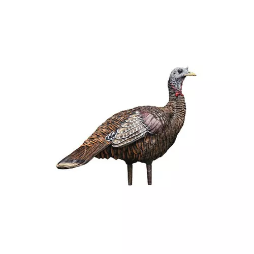 Avian X AVXAVX8006 LCD Lookout Hen Turkey Species Multi Color DuraRubber UPC: 810280080063