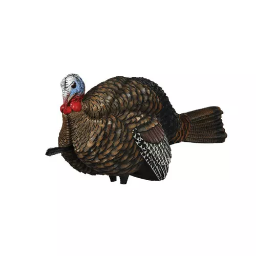 Avian X AVXAVX8012 LCD HalfStrut Jake Turkey Species Multi Color DuraRubber UPC: 810280080124