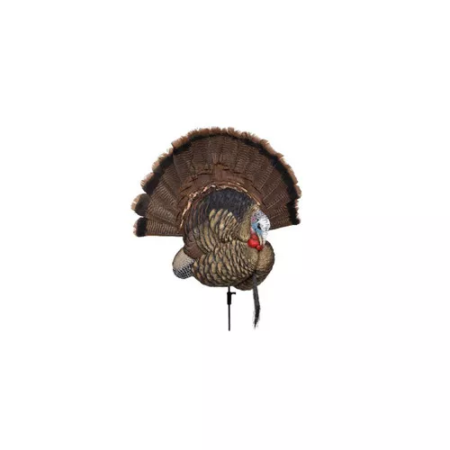 Avian X AVXAVX8021 Trophy TomTurkey Species MultiColor UPC: 810280080216