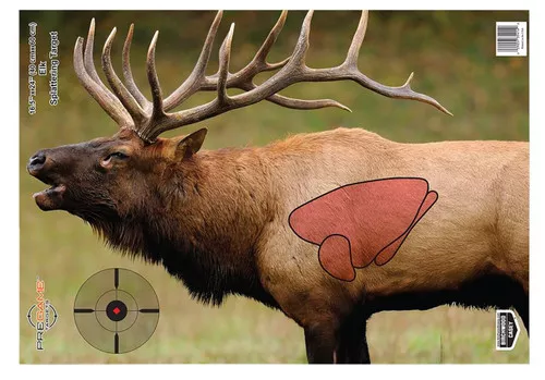 Birchwood Casey 35404 PregameElk Paper Target 16.50 x 24 3 Per Pkg UPC: 029057354041