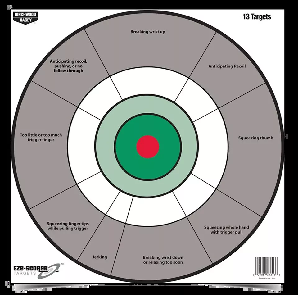 Birchwood Casey EZE-Scorer 12" Bullseye Target, Gray/White, 13 Pack