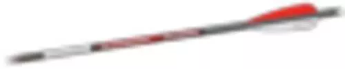 Bloodsport Witness Crossbow Bolt 20" 300 Spine 6/Pk
