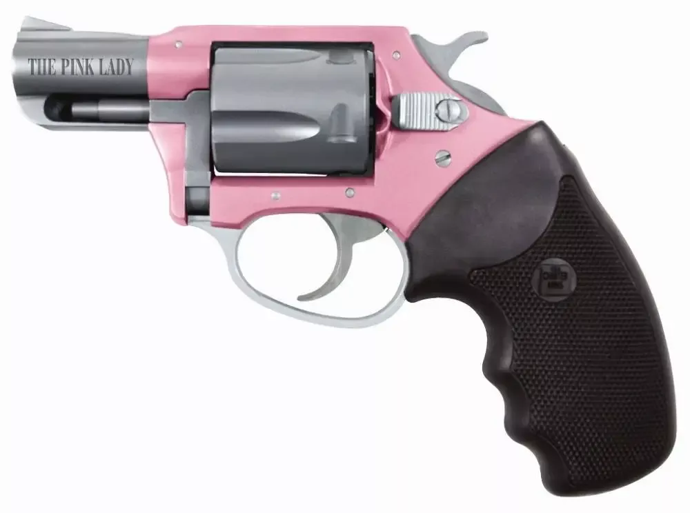 Charter Arms Pink Lady 38SPC Pink/SS 2″ 5RD