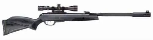 Gamo Whisper Fusion Mach 1 .22 Pellet Black Finish Synthetic Stock Dual FALSEise Dampening TechFALSElogy Fluted Polymer Jacket