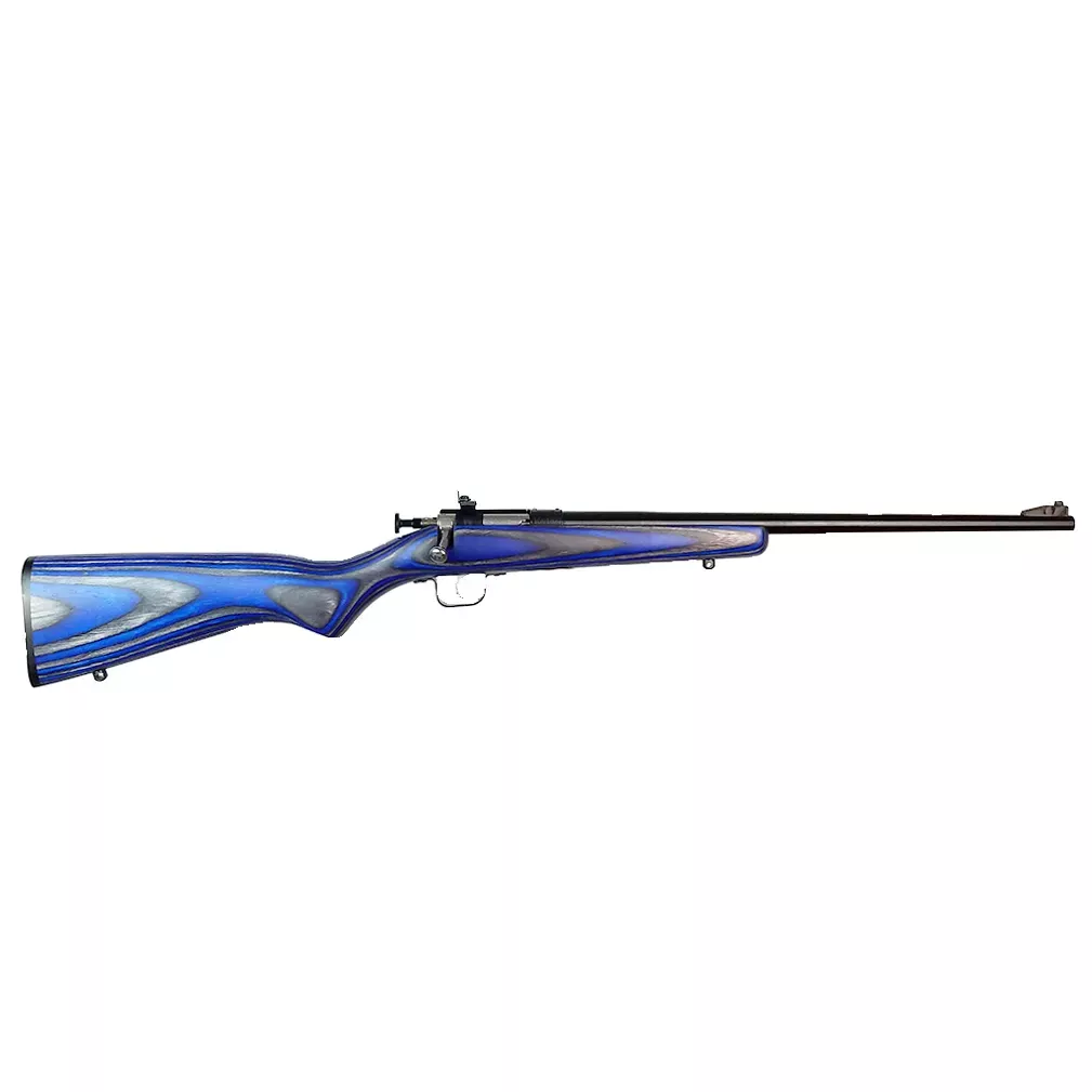 Keystone Sporting Arms Crickett 22LR Bl/blue Lam